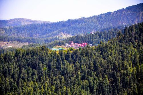 Hostal Westend Homestay Shimla