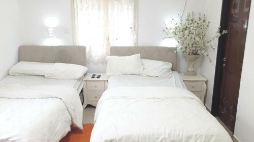 Lodge Sawsan's Suites