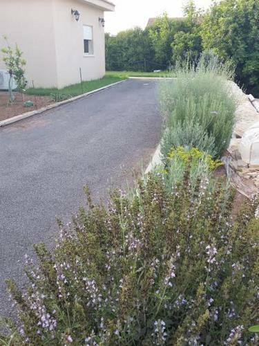Lodge Beit Haner Moshav Dor