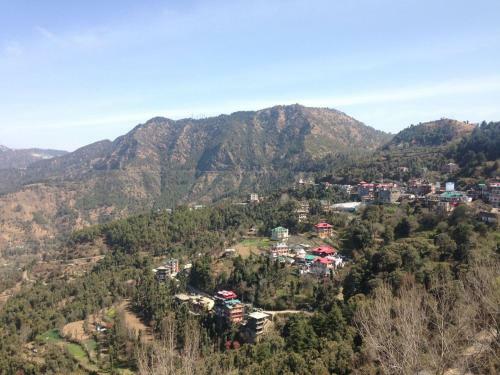 Serene Homestay In Shoghi-shimla