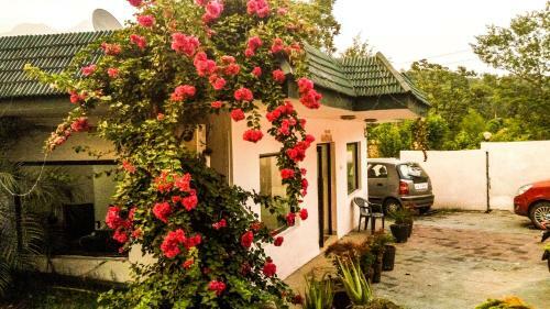 Posada Van Durga Villas & Suites