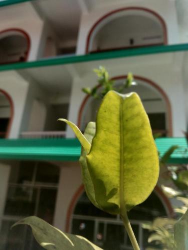 Hotel Devi Holiday Inn