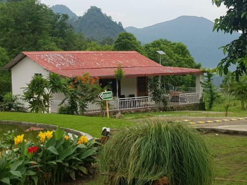 Hotel Balaut Resort