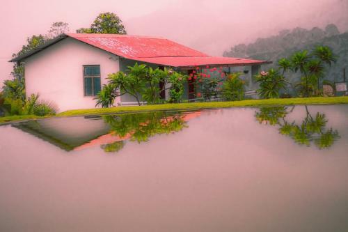 Hotel Balaut Resort
