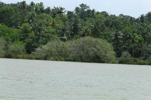 Agroturismo Pranavam Munroe Verdure