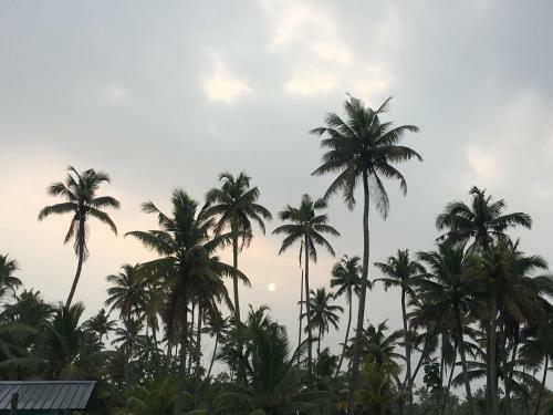 Agroturismo Pranavam Munroe Verdure