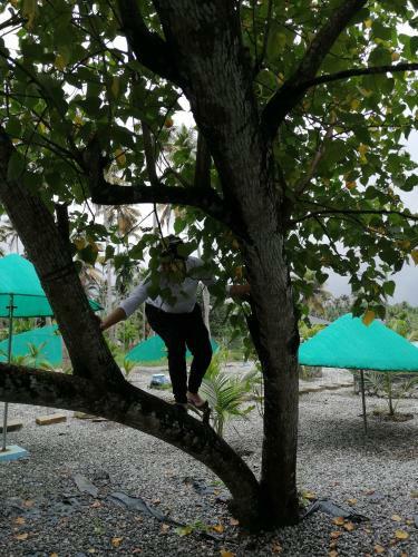 Agroturismo Pranavam Munroe Verdure