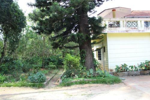 Coffee Bean Villa