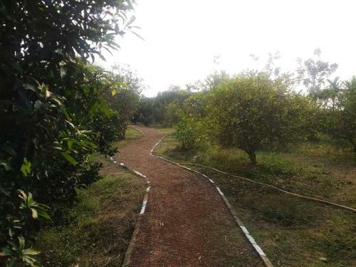 Baganbari Homestay