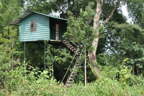 Hotel De Rock Jungle Living Masinagudi