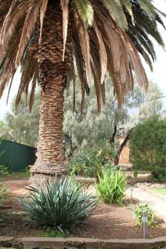 Rivergum Cottages Gawler Barossa Region