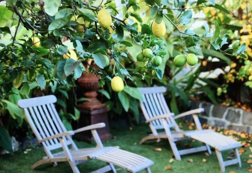 Captains Retreat B&b, Cottages And Apartments