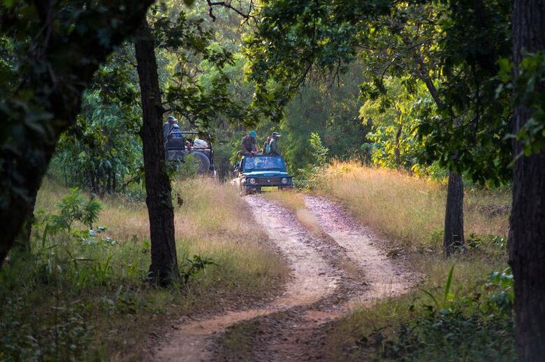 Hotel Syna Tiger Resort Bandhavgarh