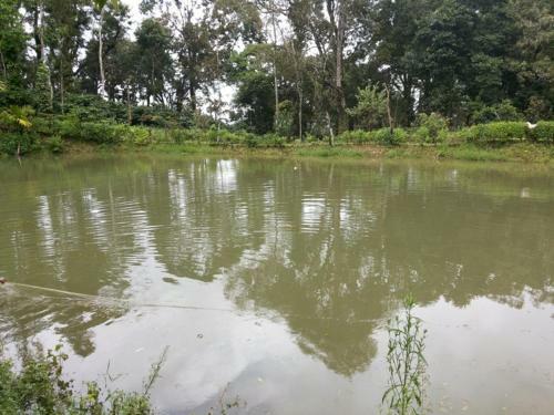 Kuttana Coffee Estate Homestay