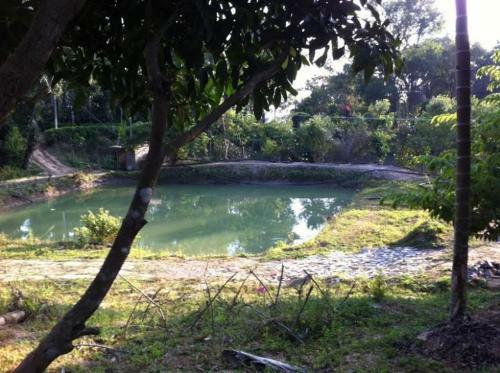 Kuttana Coffee Estate Homestay