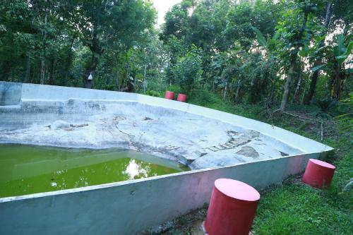 Agroturismo Philip Mary Farm Stay