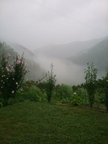 Agroturismo Divine Living Home Stay