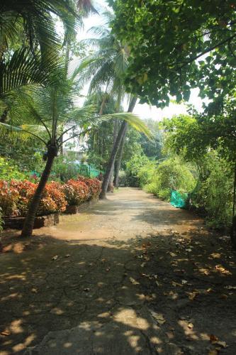 Lsq Luxuria (nagaon)