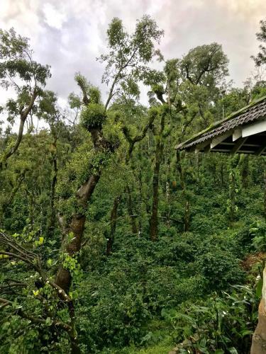 Shreegandha Homestay