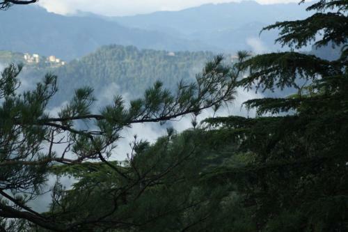 Bed & Breakfast Dhaulpur Lodge
