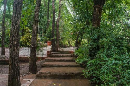 Hotel Dabhosa Waterfall Resort, A Nature Trails Resort