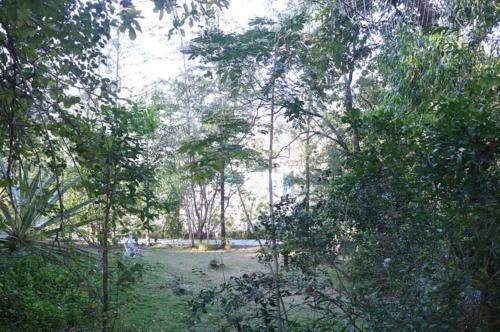 Hotel Dabhosa Waterfall Resort, A Nature Trails Resort