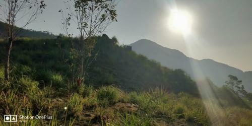 Bed & Breakfast Munnar Jungle Camp