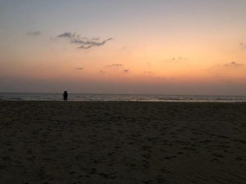 Hotel 5 Mile Beach Resort