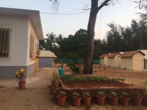 Hotel 5 Mile Beach Resort
