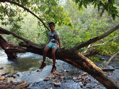 Jadkal Estate And Homestay