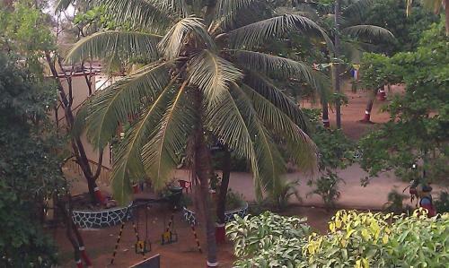 Hotel Pali Beach Resort