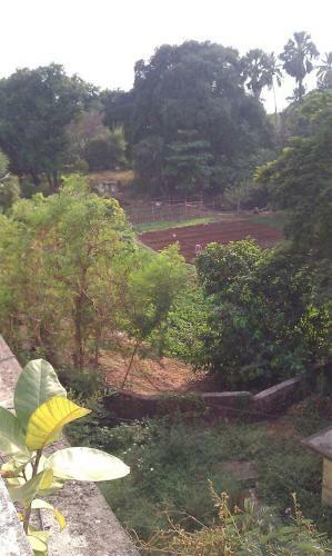 Hotel Pali Beach Resort
