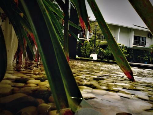 Hotel The Yellow Bamboo Resort & Spa