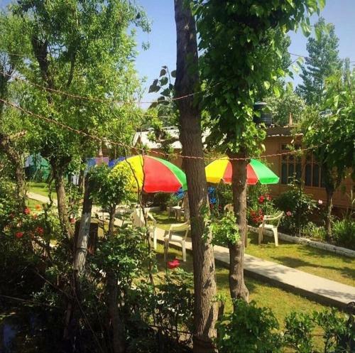 New Dera Group Houseboats