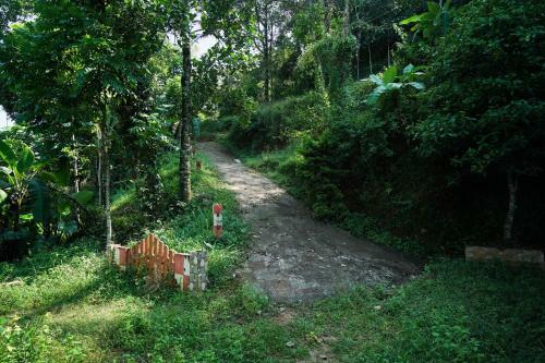 Apartamentos 2br Lush-view Cottage, Munnar