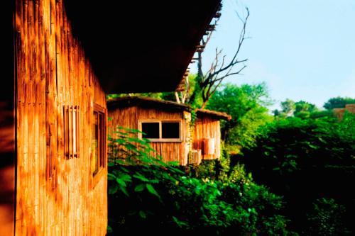 Hotel The Tree House Resort