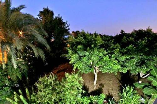 Hostal �z Likya Pension