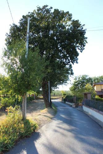 Apartamento Alberata - B&B