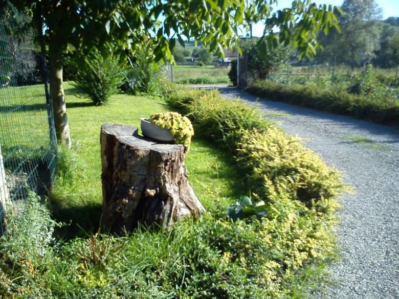 Hostal Villa Curte Nicia