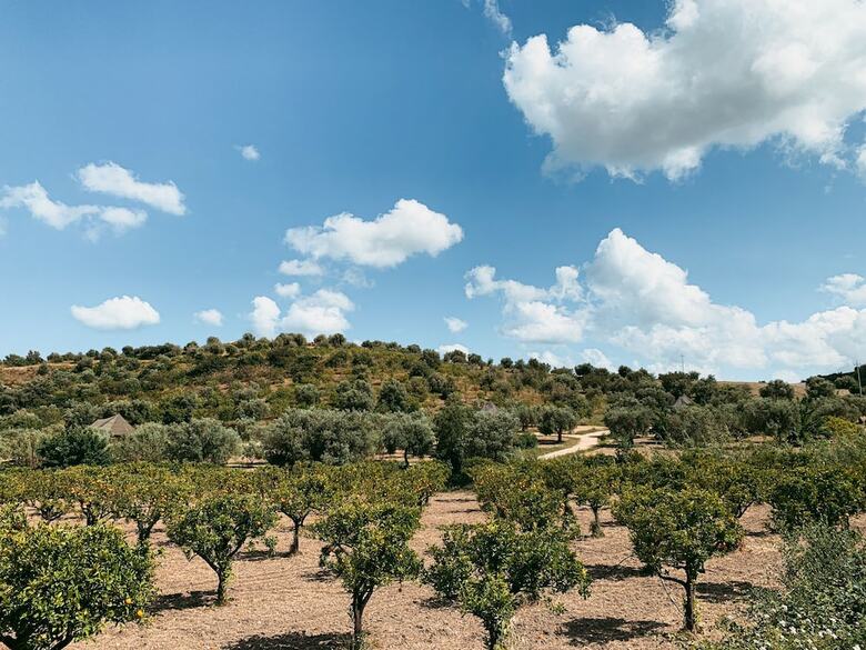 Lodge Iuta Glamping & Farm