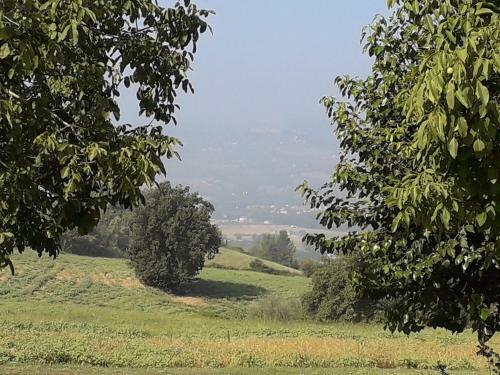 Agroturismo Agriturismo Il Truffarello