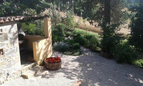 Agroturismo Agriturismo Il Truffarello