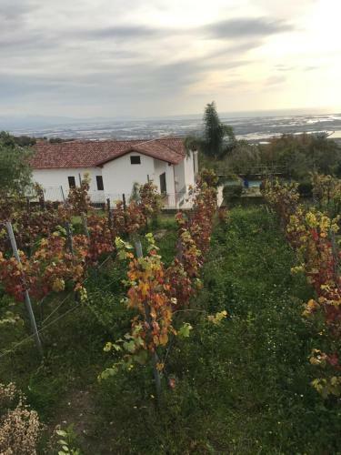 Villa Panorama