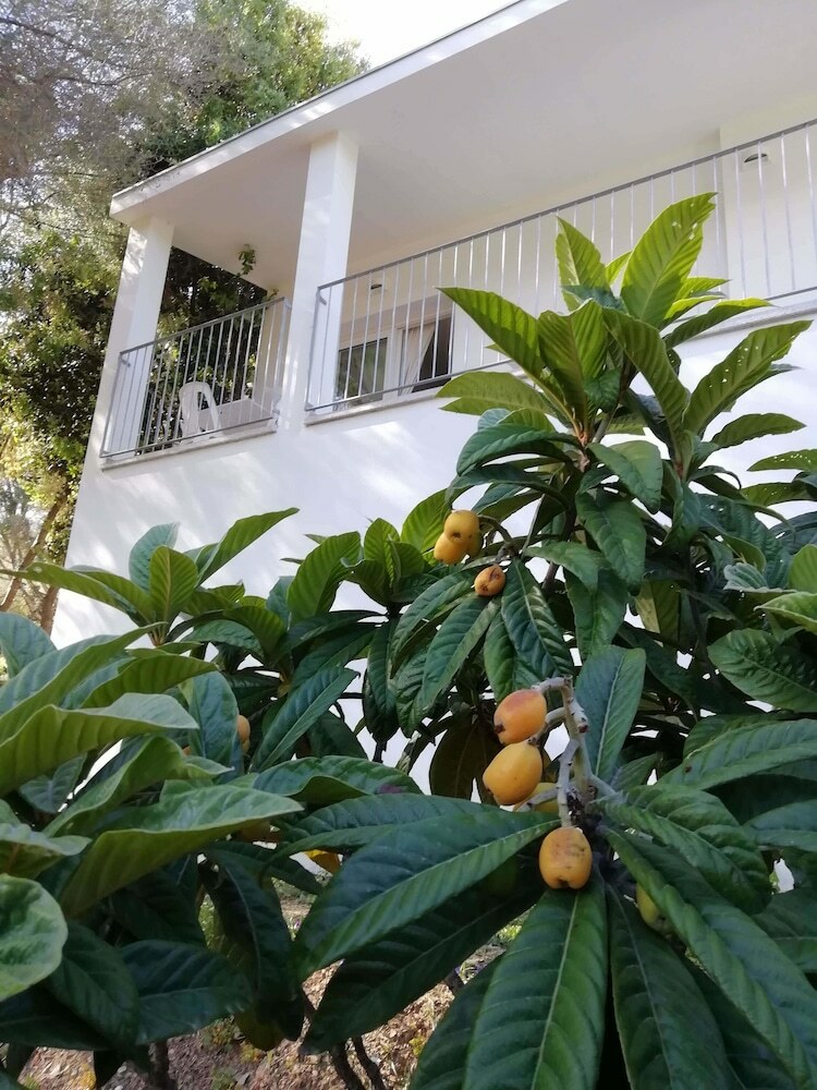 Hostal In Campagna Da Nino