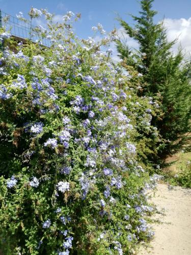 Bed & Breakfast Casale Ferro