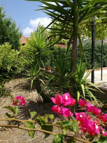 Bed & Breakfast Casale Ferro