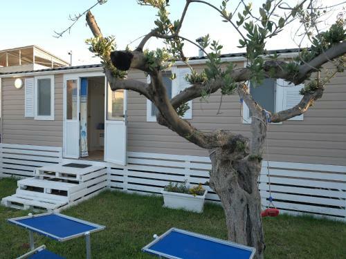 Apartamento Morgana Villa