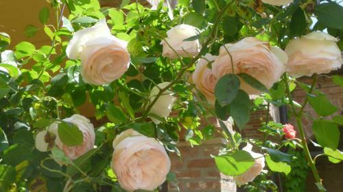Bed & Breakfast Villa Hortensia Maison D'h�tes