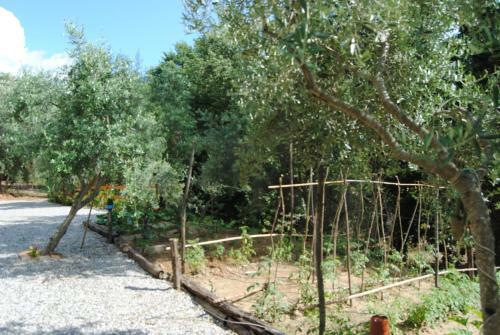 Agroturismo Agriturismo Casa Gioffr�