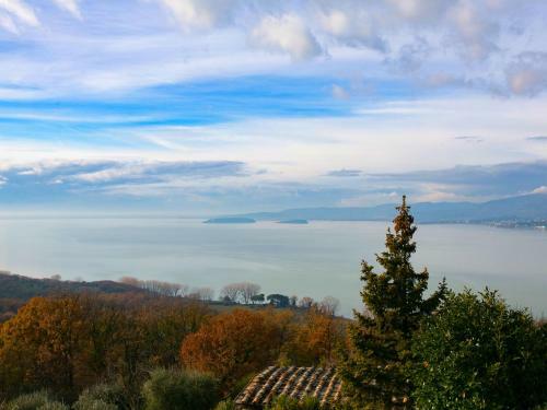 Provincial Villa In Magione Italy With Private Pool